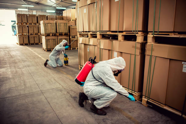 Best Residential Pest Control  in Ball, LA