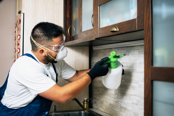 Trusted Ball, LA Pest Control Experts