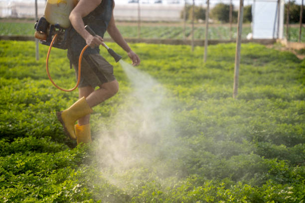 Best Commercial Pest Control Services  in Ball, LA